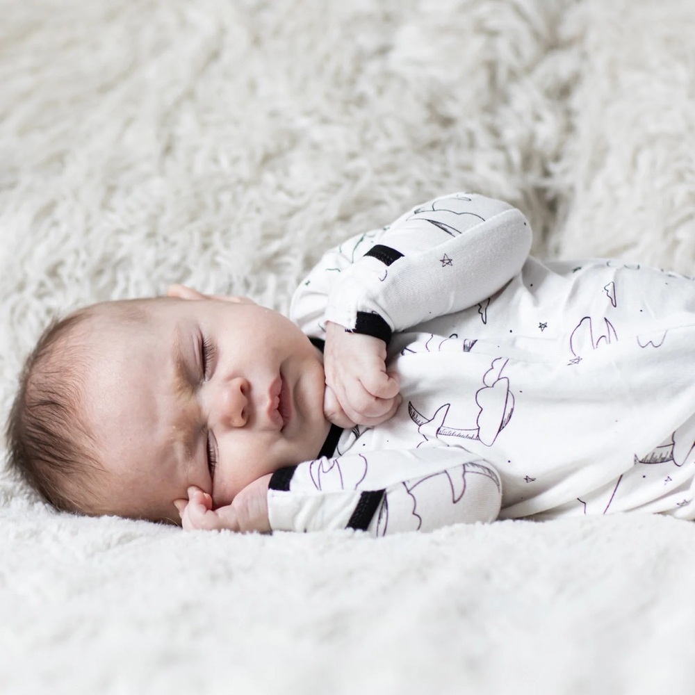 NIB Peregrine Bamboo Set